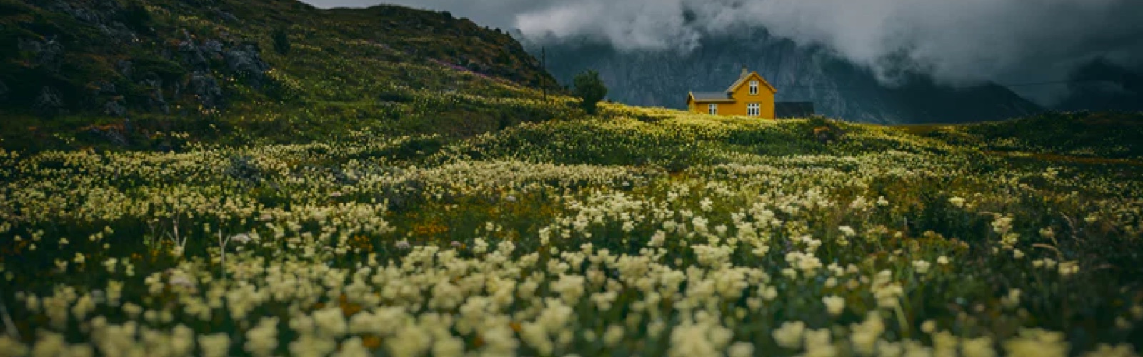 A yellow house on the foothill surrounded by cloud and feilds of wild white flowers